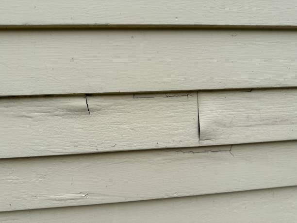 Affordable siding repair and maintenance services in Pearsall, TX